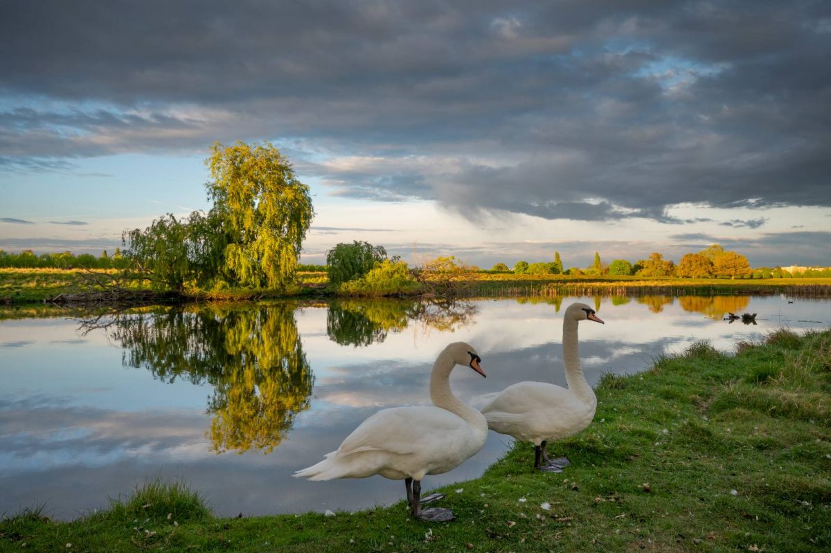 Robert Page Photography