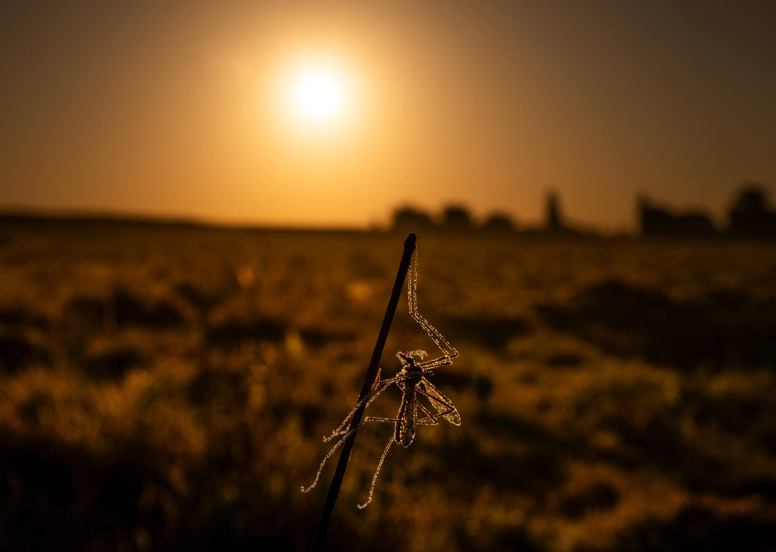 Robert Page Photography
