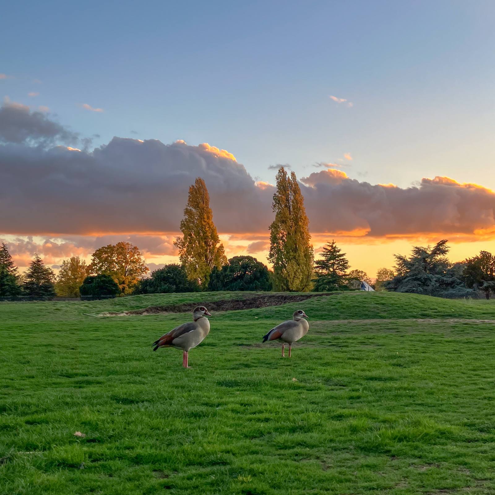 Robert Page Photography