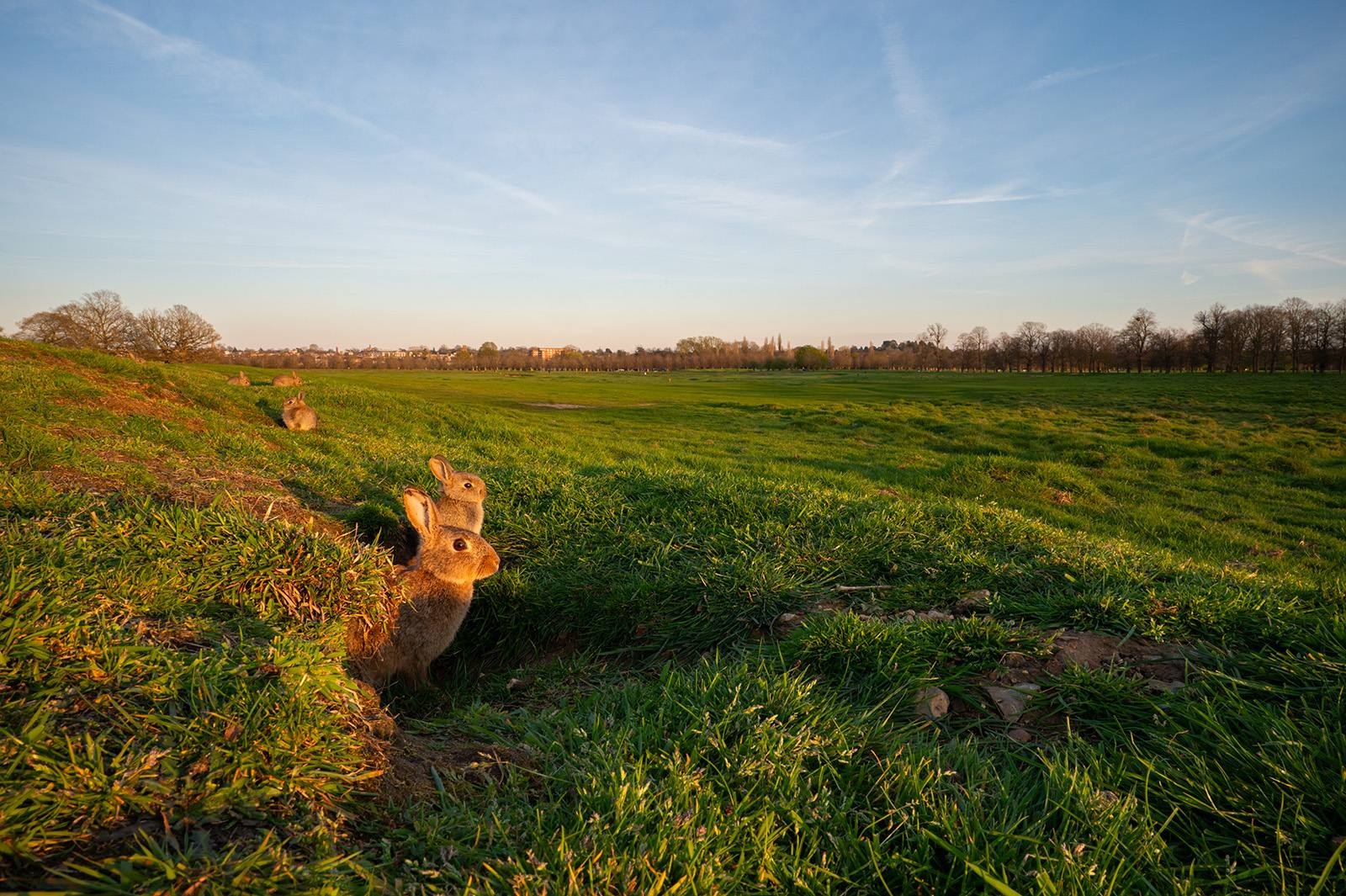 Robert Page Photography