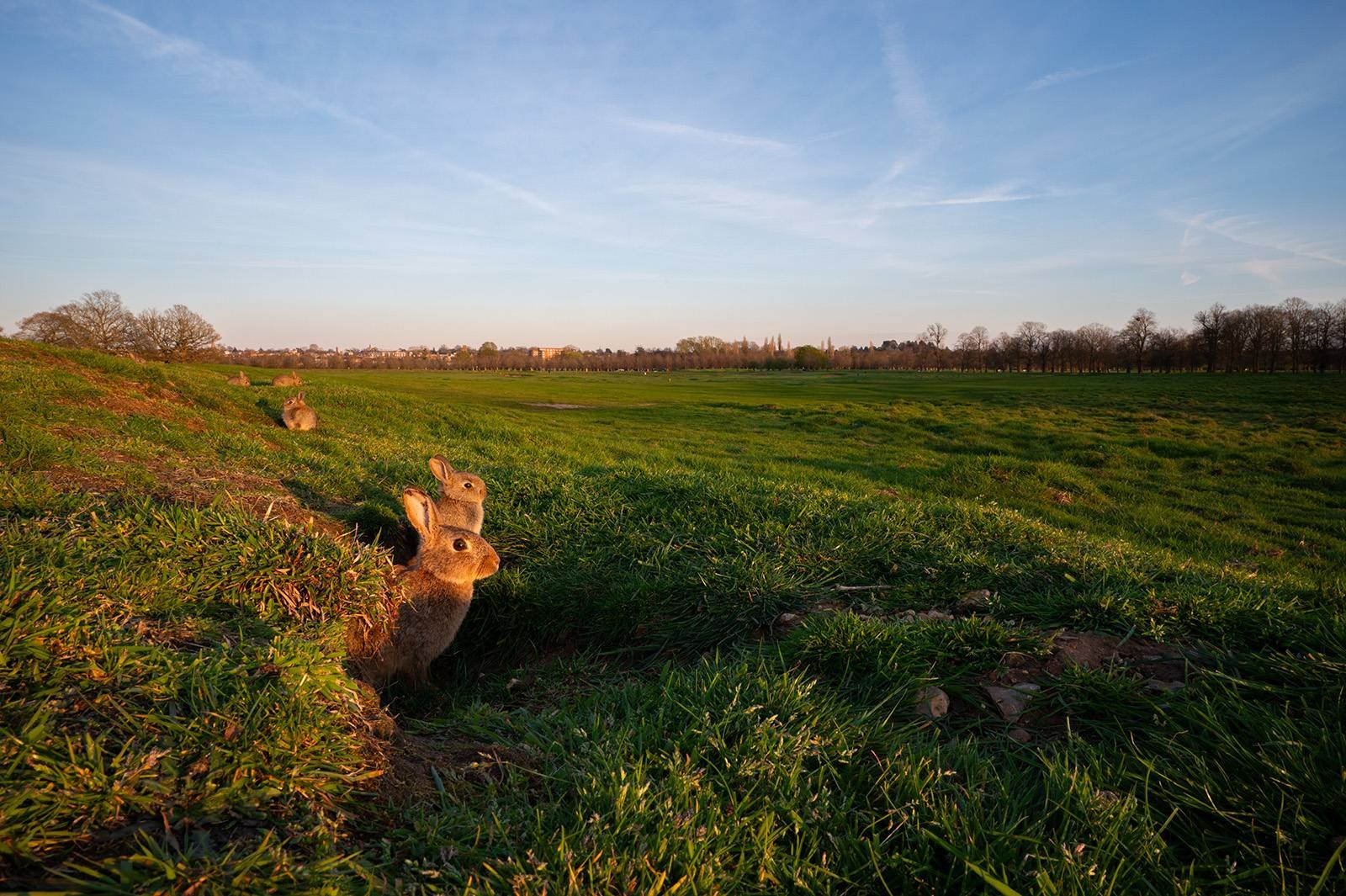 Robert Page Photography