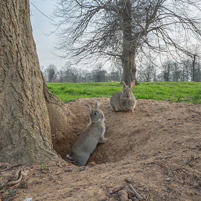 Robert Page Photography