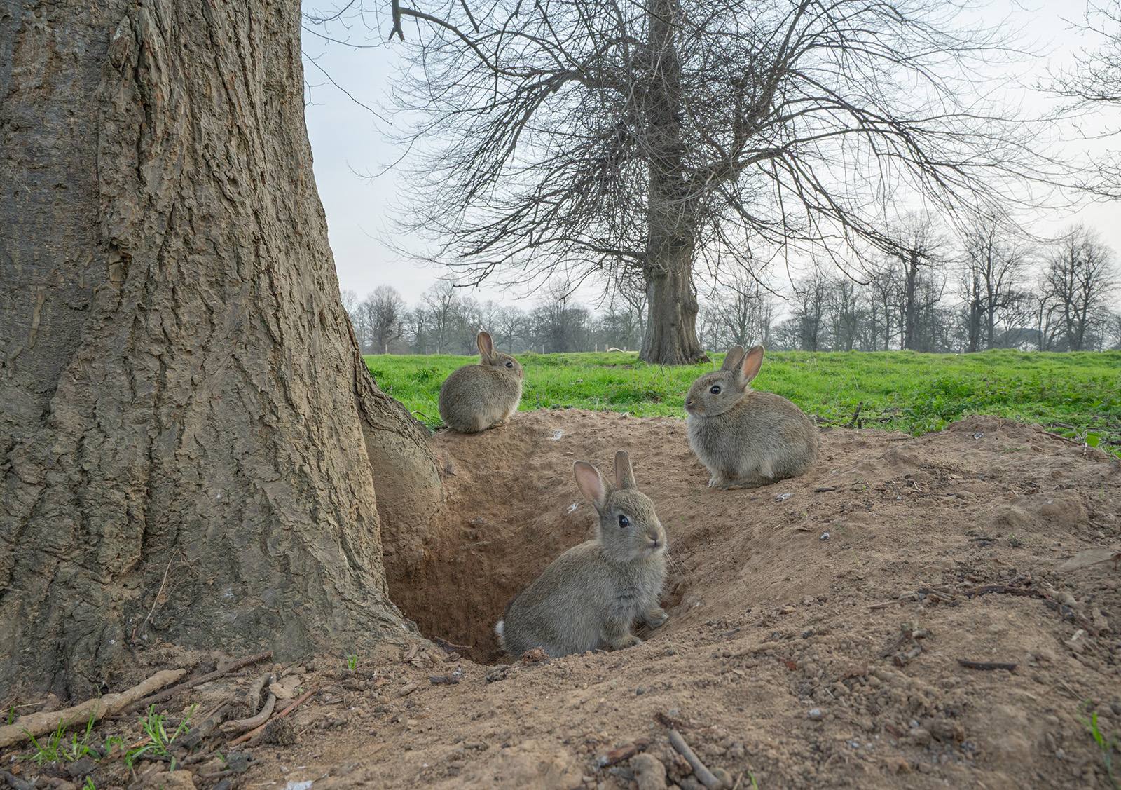 Robert Page Photography