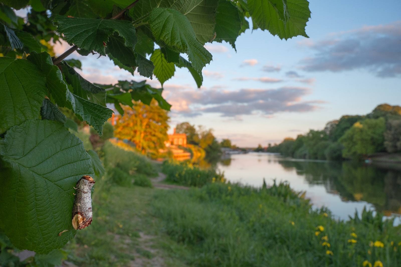 Robert Page Photography
